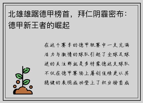 北雄雄踞德甲榜首，拜仁阴霾密布：德甲新王者的崛起