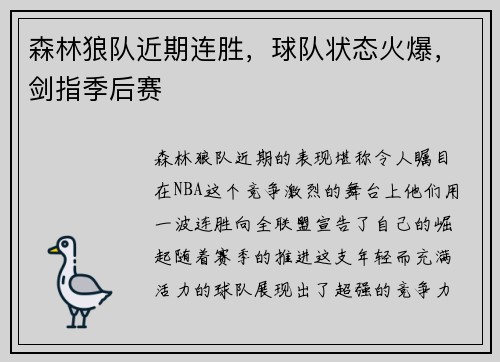 森林狼队近期连胜，球队状态火爆，剑指季后赛