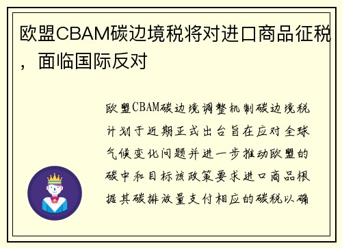 欧盟CBAM碳边境税将对进口商品征税，面临国际反对